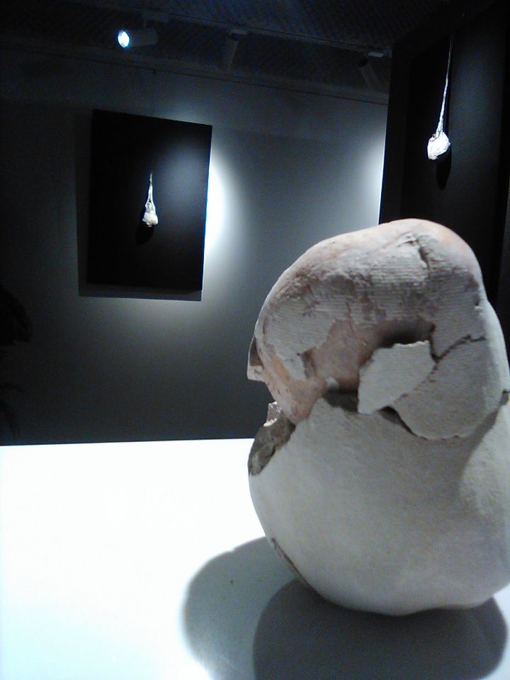 Shell with gateway on background