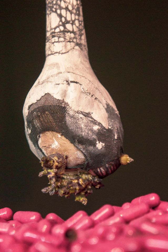 untitled (detail)