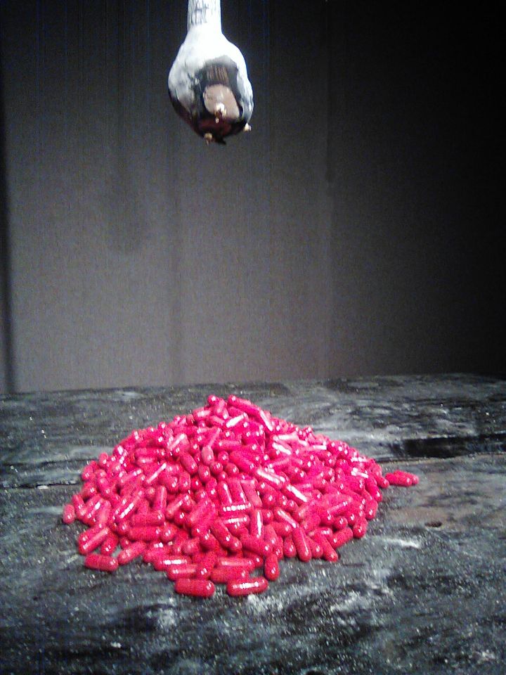 untitled (detail)