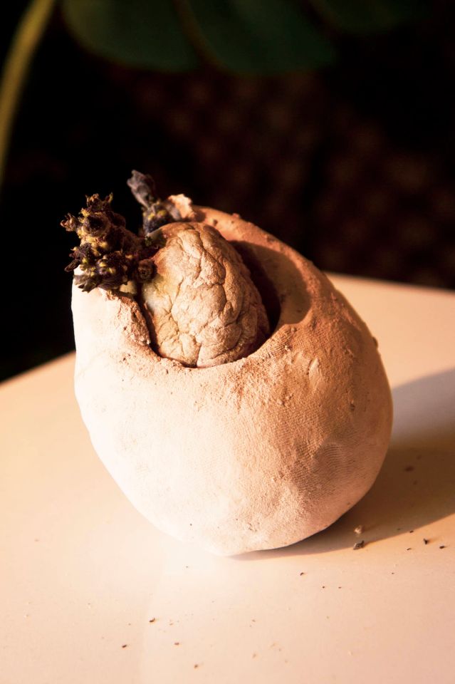 shell on end