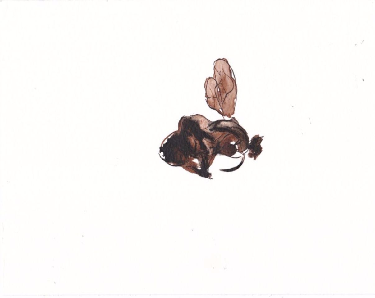 Ink and watercolor on A3 paper