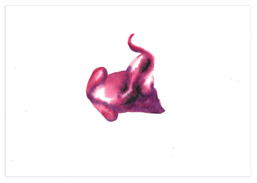 Ink & Wine & Watercolor on Paper