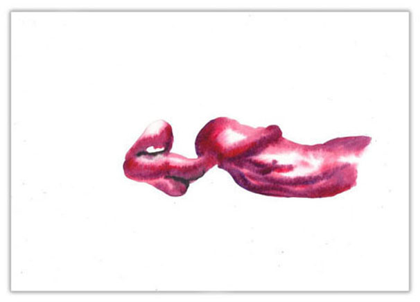 Ink & Wine & Watercolor on Paper