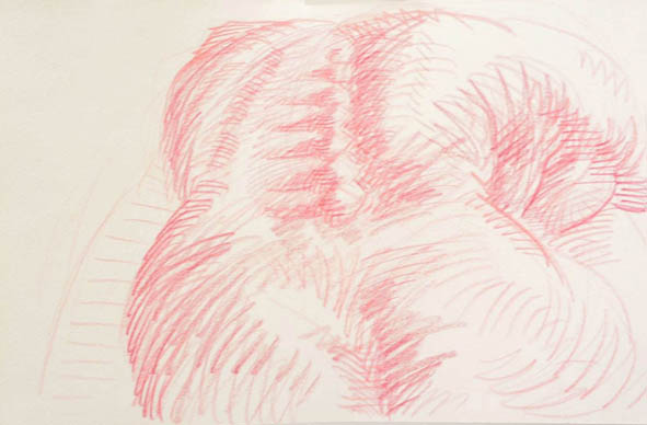 Colour pencil on paper