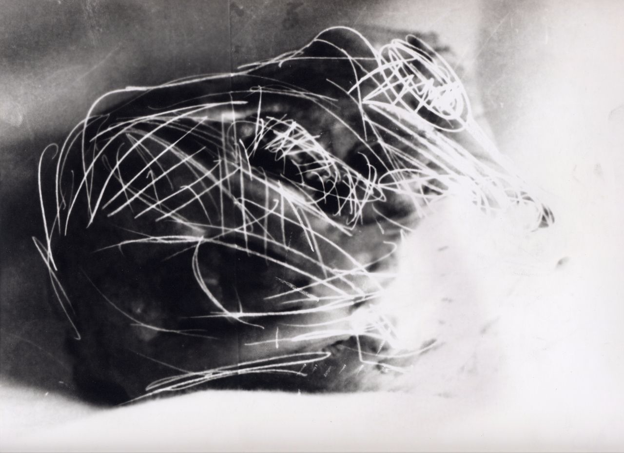 Black & White Argentic Picture