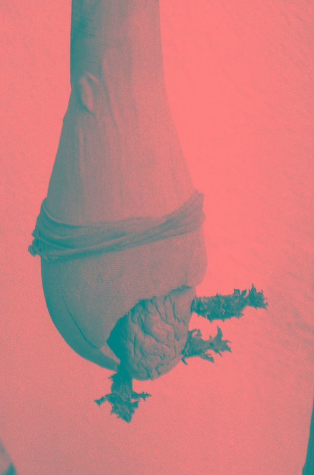  Shell 3