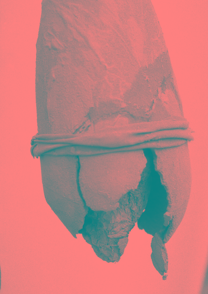  Shell 6
