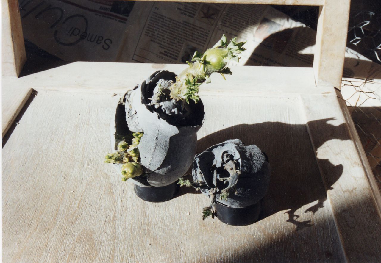  Shell 1&2